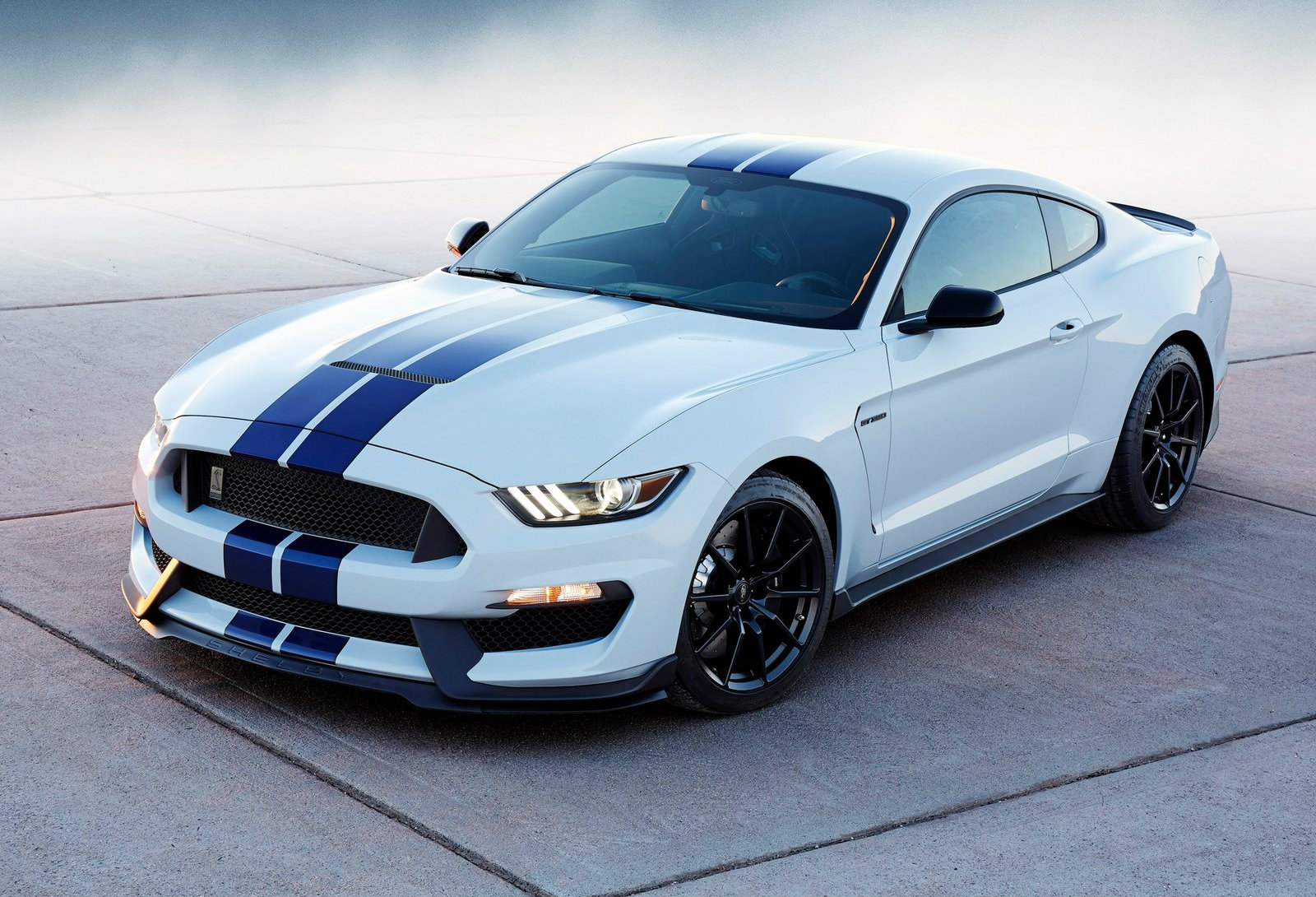 Ford mustang fastback shelby gt350
