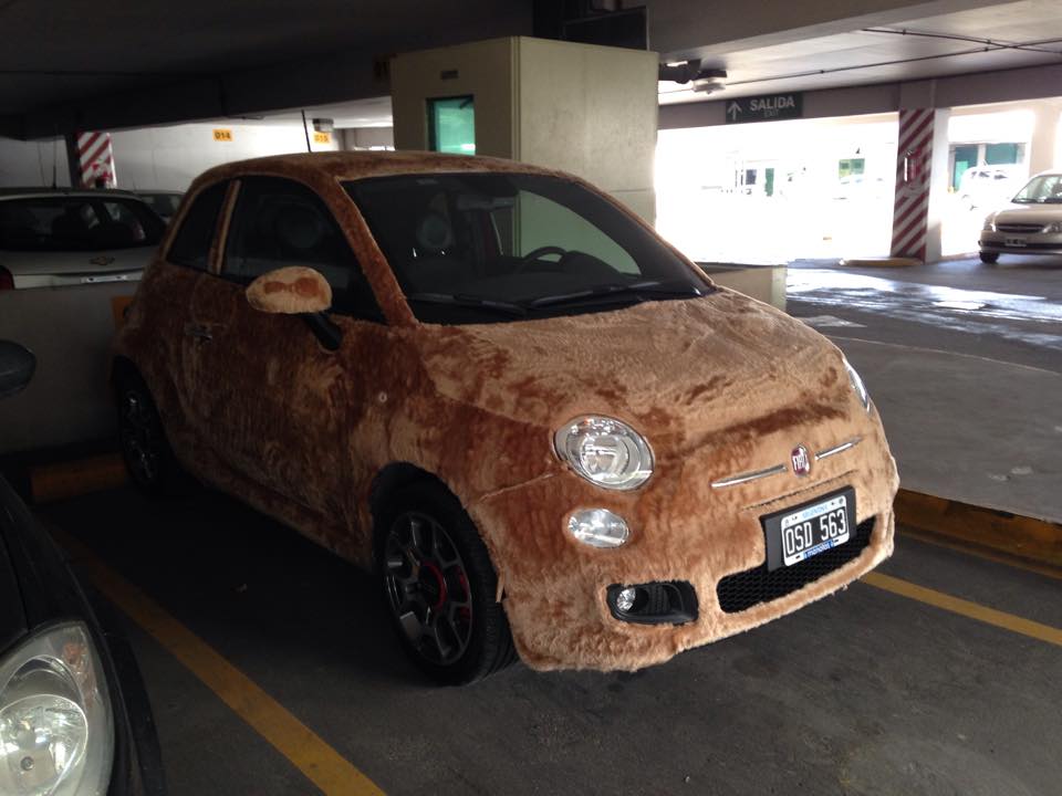 Verdampen Wrak Staat Fiat 500 Wrapped in Fur Spotted in Argentina, Looks Like a Labrador | Fiat  500 Forum