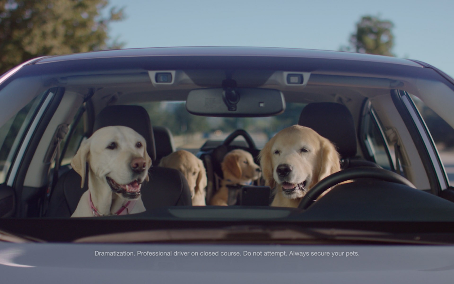 Puppy Bowl 2016: Subaru's Family of Lovable Dogs Drive Cars, Melt
