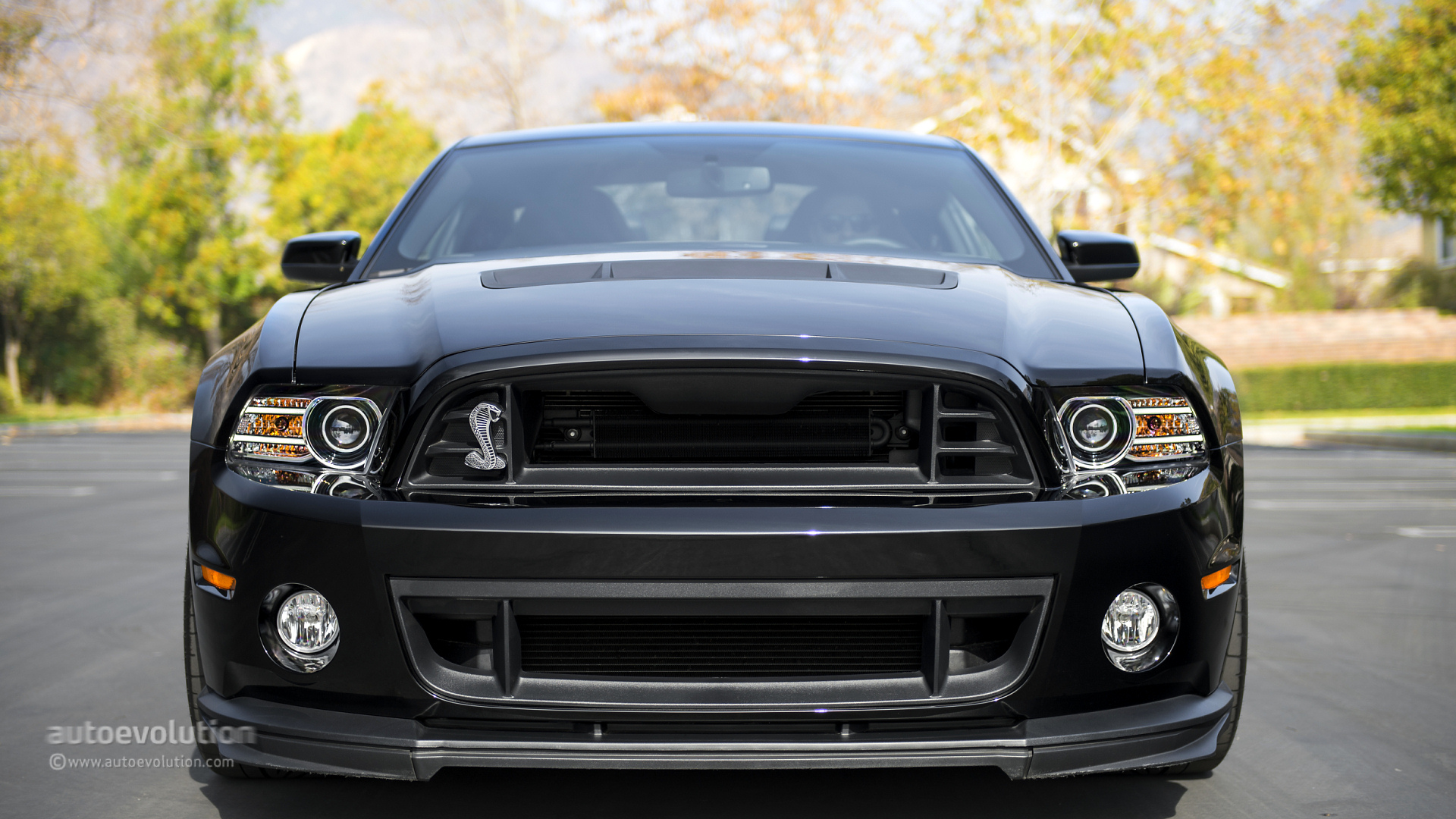 2014 Ford Mustang Shelby Gt500 Saleen 351 Extreme Car