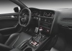 AUDI RS4 Avant (B8) (2012-2015)