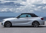 BMW 2 Series Convertible (2014-2017)