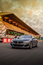 BMW 8 Series Coupe (G15) (2018-2022)