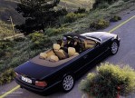 BMW 3 Series Cabriolet (E36) (1993-1999)