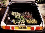 FORD Capri (1978-1986)
