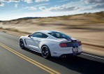 FORD Mustang Shelby GT350 (2015-Present)