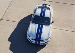FORD Mustang Shelby GT350 (2015-Present)