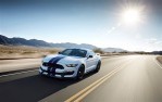 FORD Mustang Shelby GT350 (2015 - Present)