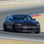 FORD Mustang Shelby GT350R (2015 - Present)