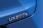 LEXUS UX 300e (2020-Present)