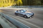 Mercedes-AMG GT C Roadster (R190) (2016-2018)