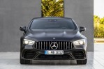 Mercedes-AMG GT 63 4MATIC+ (X290)  (2018-Present)