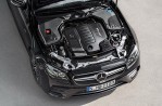Mercedes-AMG E53 Coupe (C238) (2018-2020)
