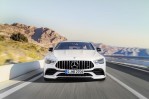 Mercedes-AMG GT 53 4MATIC+ (X290) (2018-2020)