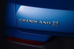 OPEL Grandland X (2017-2021)