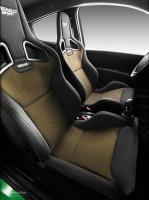 RENAULT Clio RS (2009-2013)