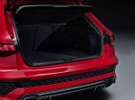 AUDI RS 3 Sportback (2021-Present)