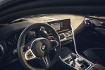 BMW M8 Gran Coupe  (2022 - Present)