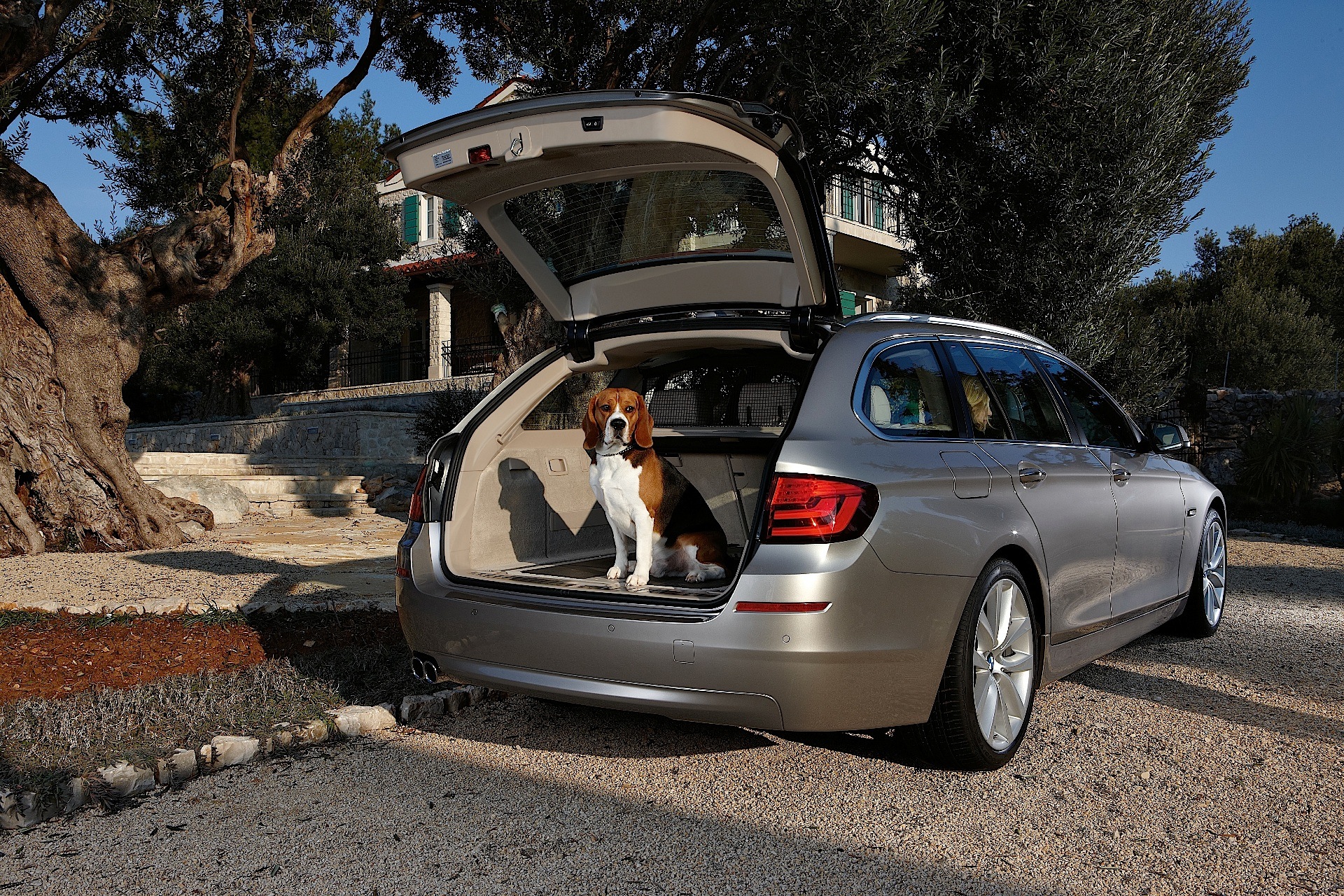 BMW 5 Series Touring (F11) Photos and Specs. Photo: 5 Series