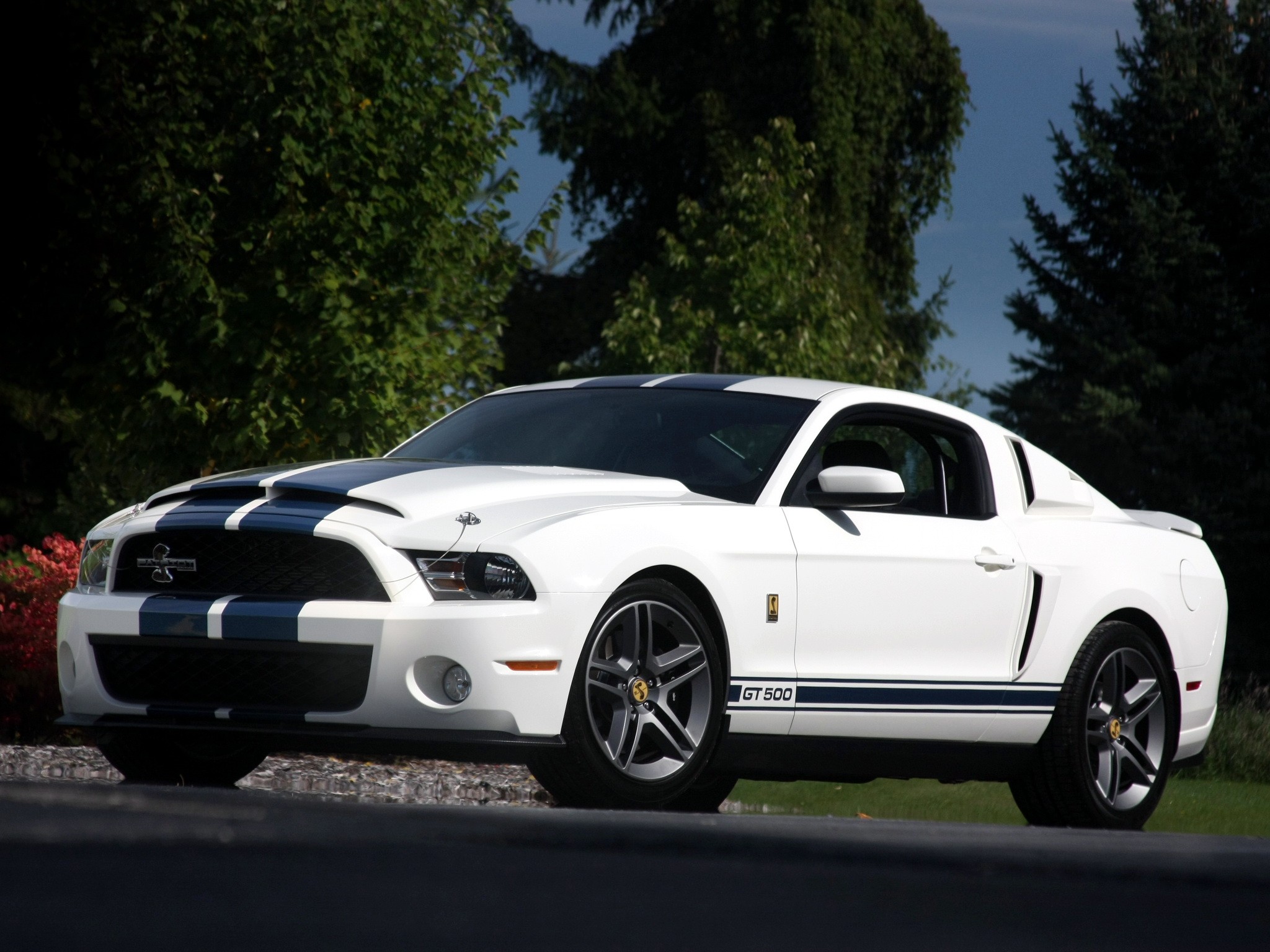 Ford Mustang Shelby Gt500 Occasion