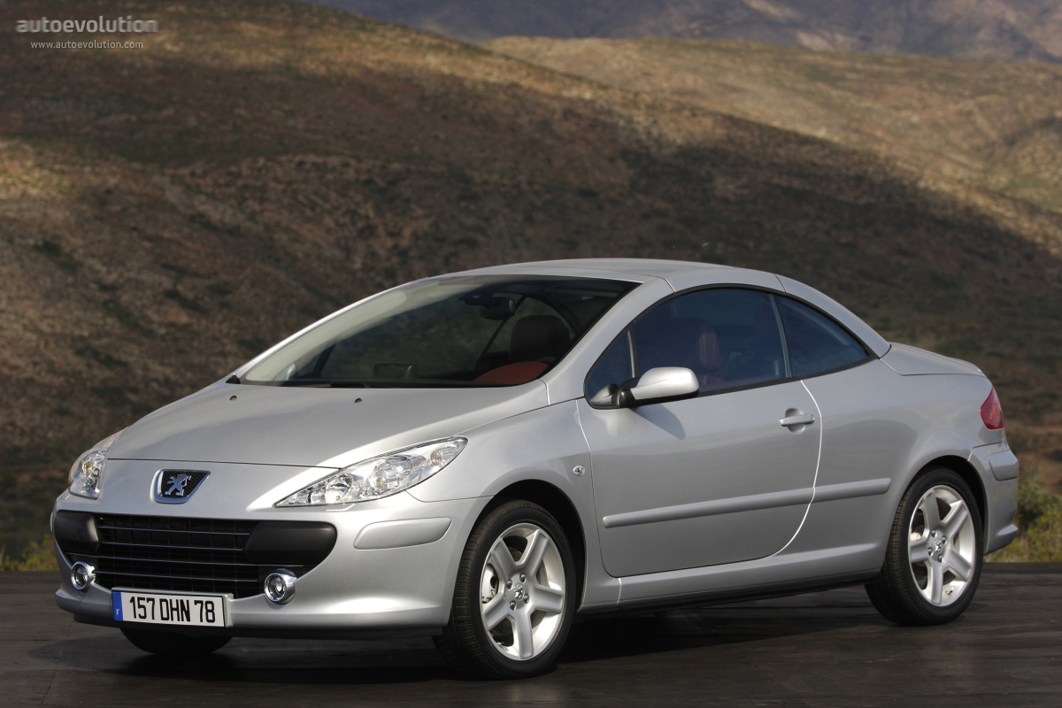 Peugeot 307 (2005) - picture 19 of 33