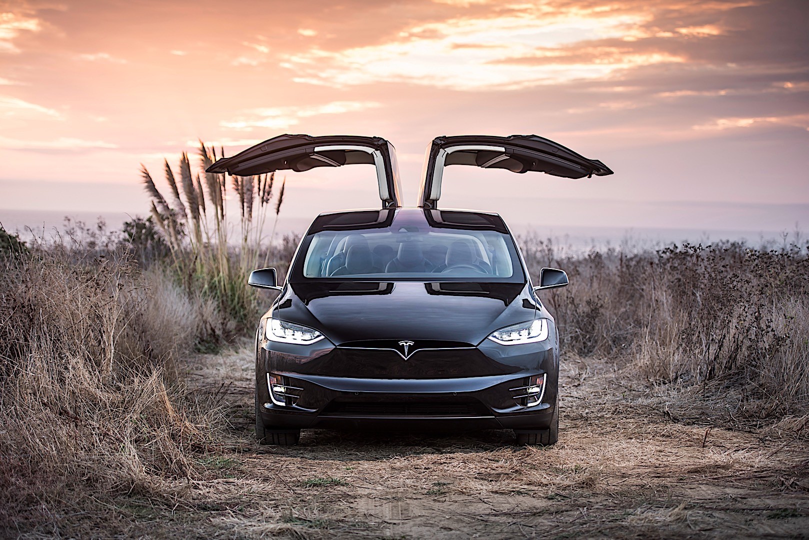 2016 Tesla Model X Specs & Photos autoevolution