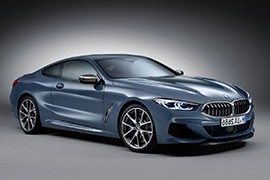 BMW 8 Series Coupe (G15) 2018-2022