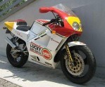 CAGIVA Mito I Racing Lucky Explorer (1990-1991)