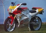 CAGIVA Mito II Racing Lucky Explorer (1991-1992)