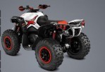 CAN-AM/ BRP Renegade 1000R X XC (2014-2015)