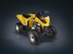 CAN-AM/ BRP Bombardier DS250 (2005-2006)
