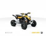 CAN-AM/ BRP DS 450 X XC (2010-2011)