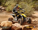 CAN-AM/ BRP DS 450 X XC (2010-2011)