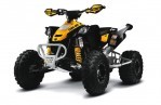 CAN-AM/ BRP DS 450 X XC (2009-2010)