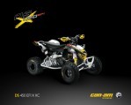 CAN-AM/ BRP DS 450 X XC (2008-2009)