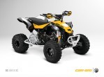 CAN-AM/ BRP DS 450 X xc (2011-2012)