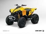 CAN-AM/ BRP Renegade 800R (2012-2013)