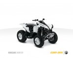 CAN-AM/ BRP Renegade 800R (2010-2013)