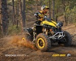 CAN-AM/ BRP Renegade 800R X XC (2010-2011)