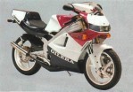 GILERA Crono 125 (1989-1990)