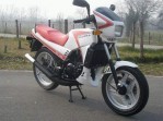 GILERA RV 125 (1984-1985)