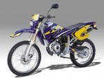 RIEJU MOTORS RR 50 (1996-1997)