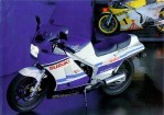 SUZUKI RG 500 (1985-1987)