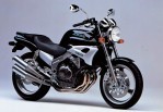 YAMAHA FZX 250 Zeal (1992-1999)