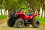 YAMAHA Grizzly 300 Automatic (2012-2013)