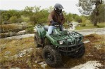YAMAHA Grizzly 350 Automatic (2010-2011)