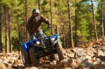 YAMAHA Grizzly 450 Automatic 4x4 EPS (2012-2013)