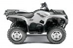 YAMAHA Grizzly 700 FI EPS Special Edition (2009-2010)