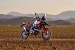 DUCATI DesertX Rally (2023-Present)