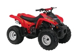 CAN-AM/ BRP Bombardier DS90 2-stroke 2004-2005